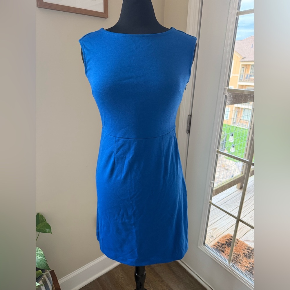 The Limited Sleeveless Blue Dress